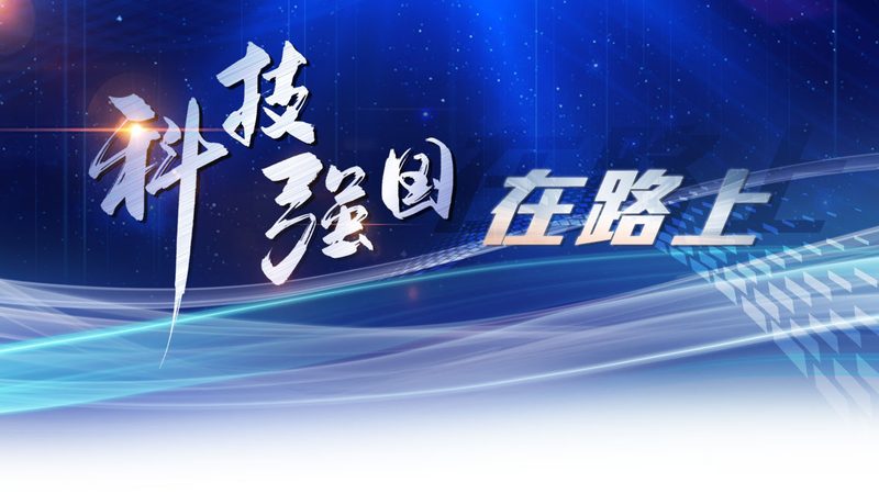 电商SaaS性能优化：揭秘提升效率的关键因素